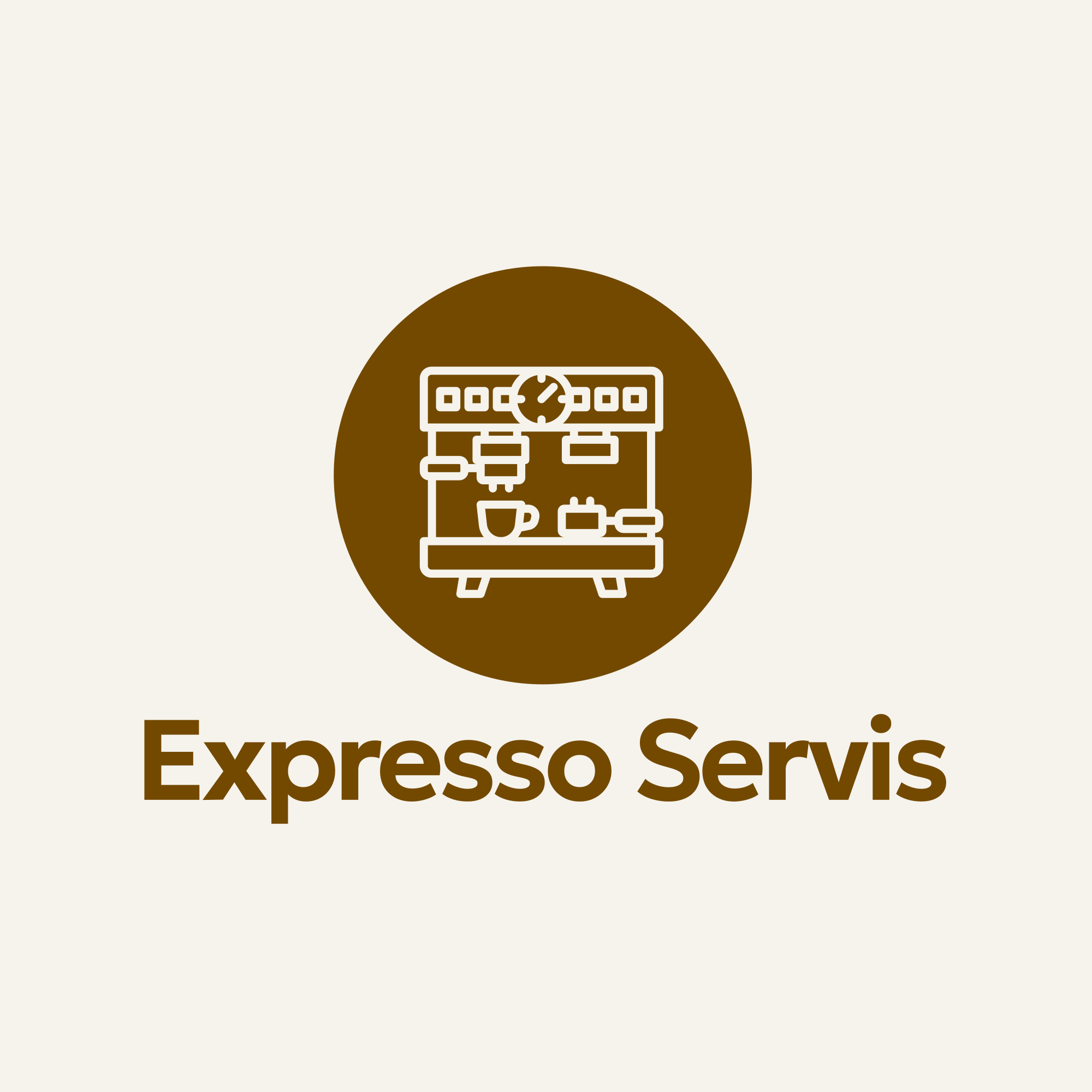 Expresso Servis logo